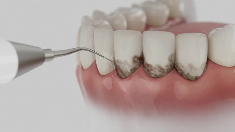 Reliable Dental contractor in Ellsworth, ME by Dentist Open Now